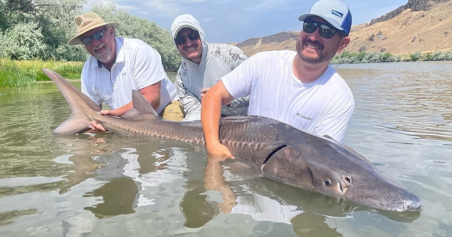 American Falls/Snake River Catch and Release Sturgeon