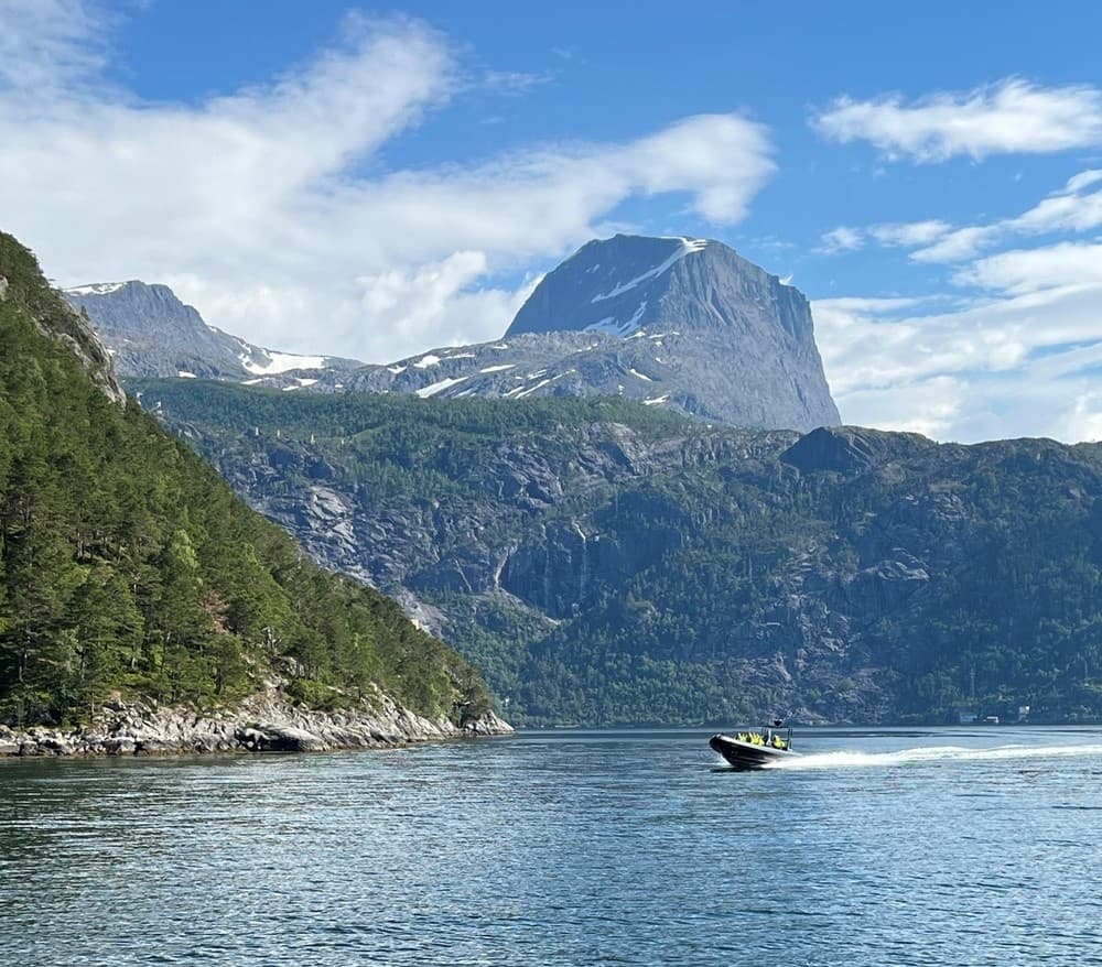 RIB Safari Nordfjordeid