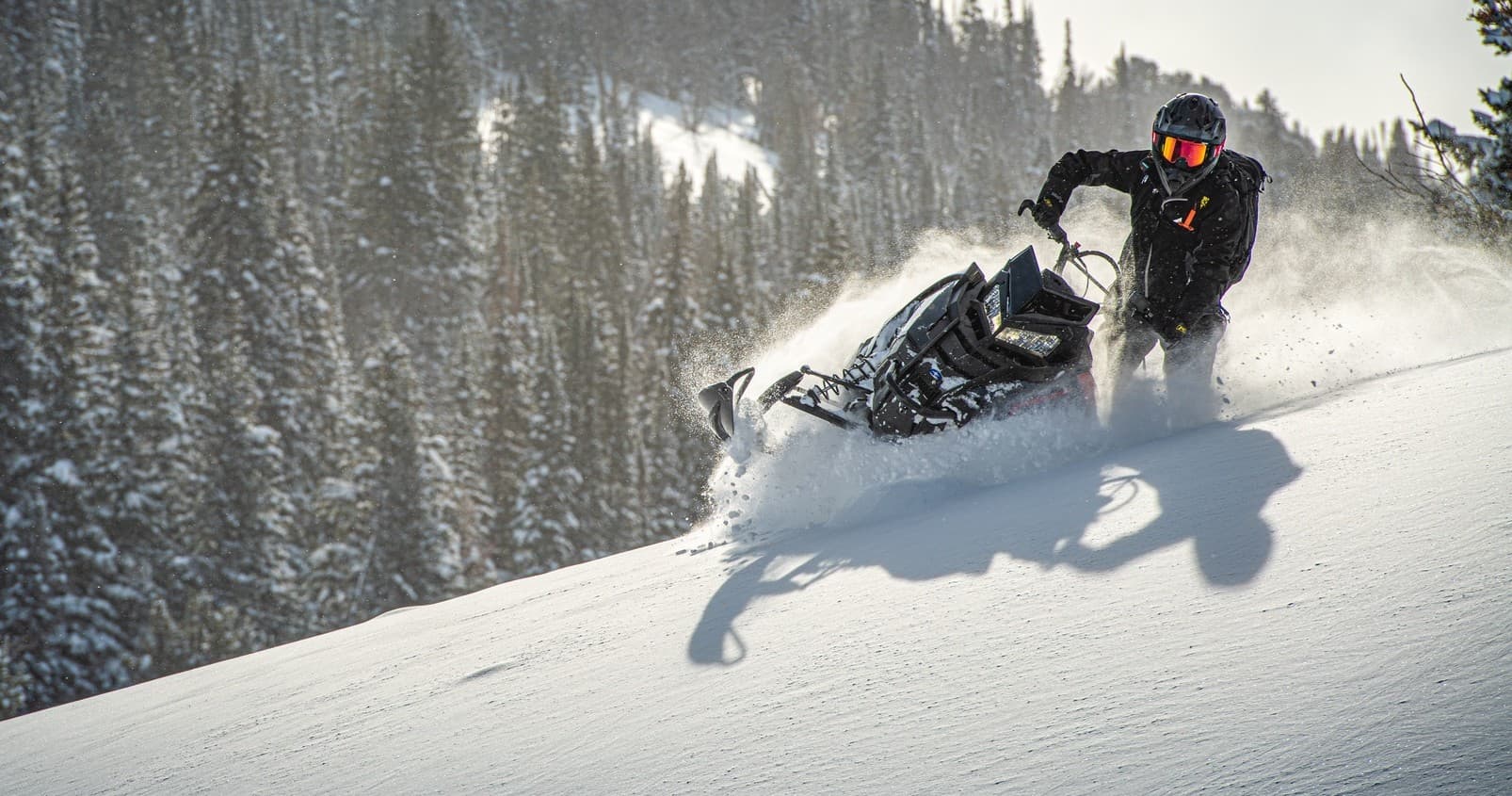 Snowmobile Half Day Rental
