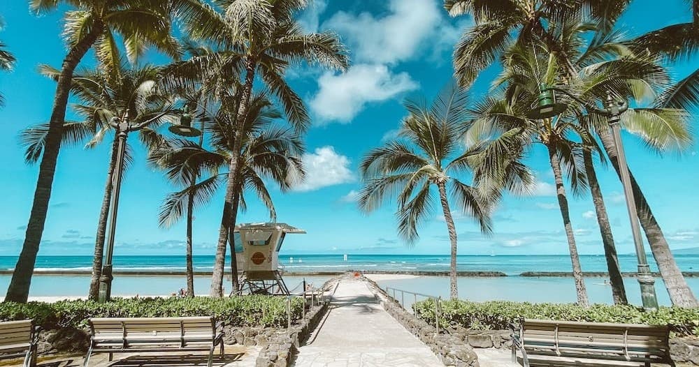 Private Oahu Half Circle Island Tour from Honolulu