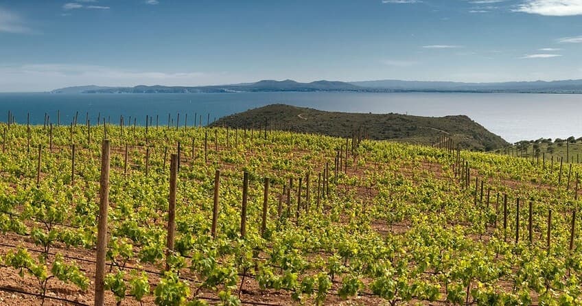 Private Dalí's World Wine and Cava tour with Hotel pick-up from Barcelona (FD)