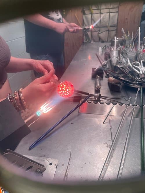 Glass Turtle Class