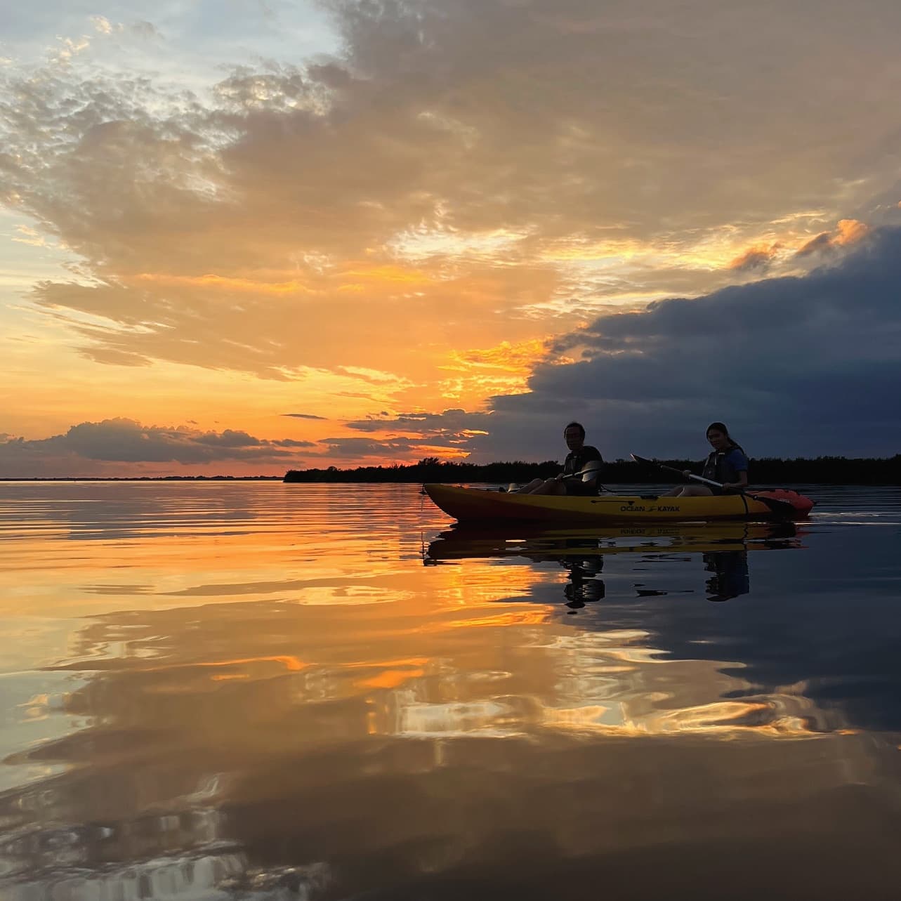 Wildlife Refuge Bio Comb Jelly Sunset Kayak or Paddleboard Tour!