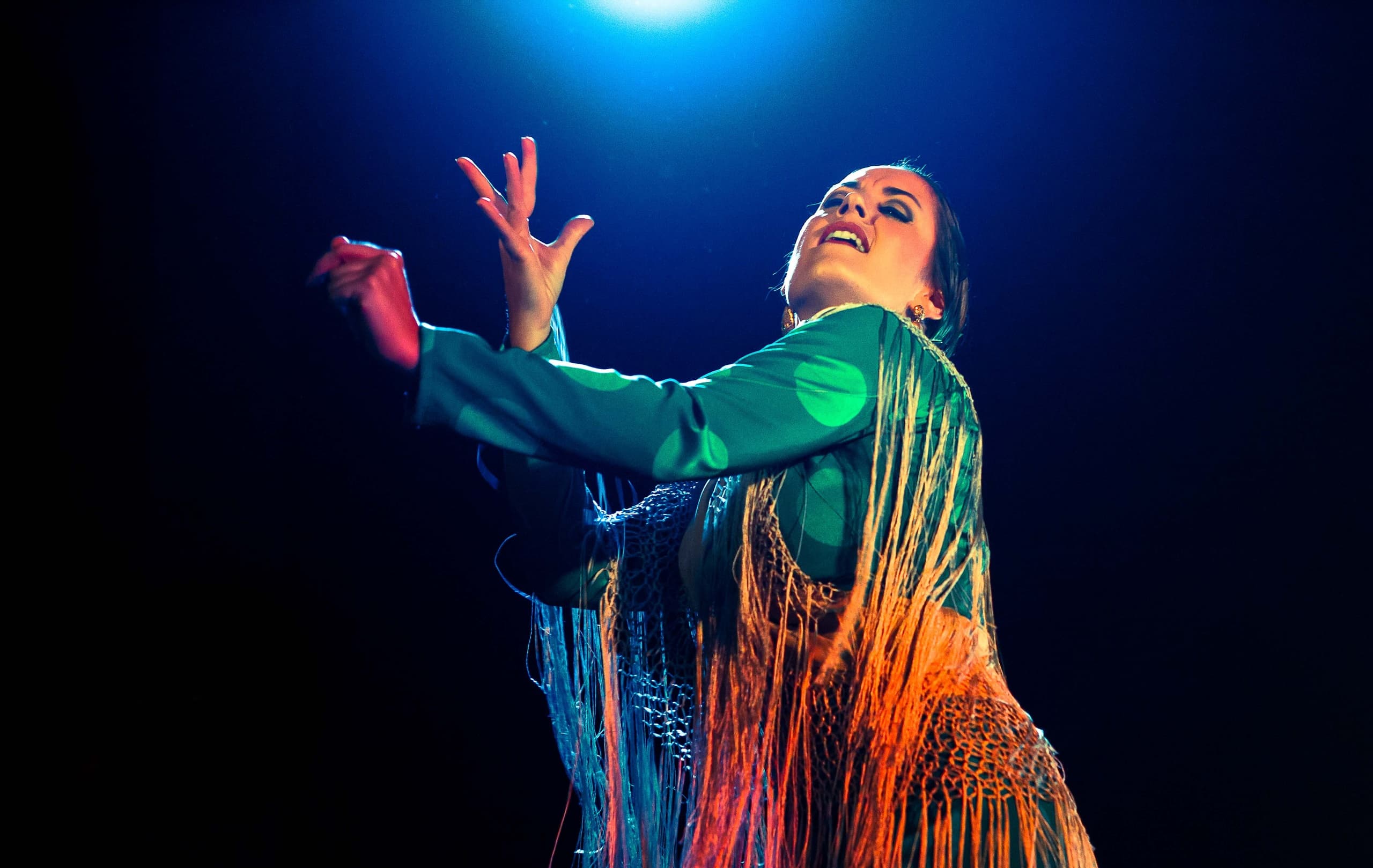 Espectáculo Flamenco