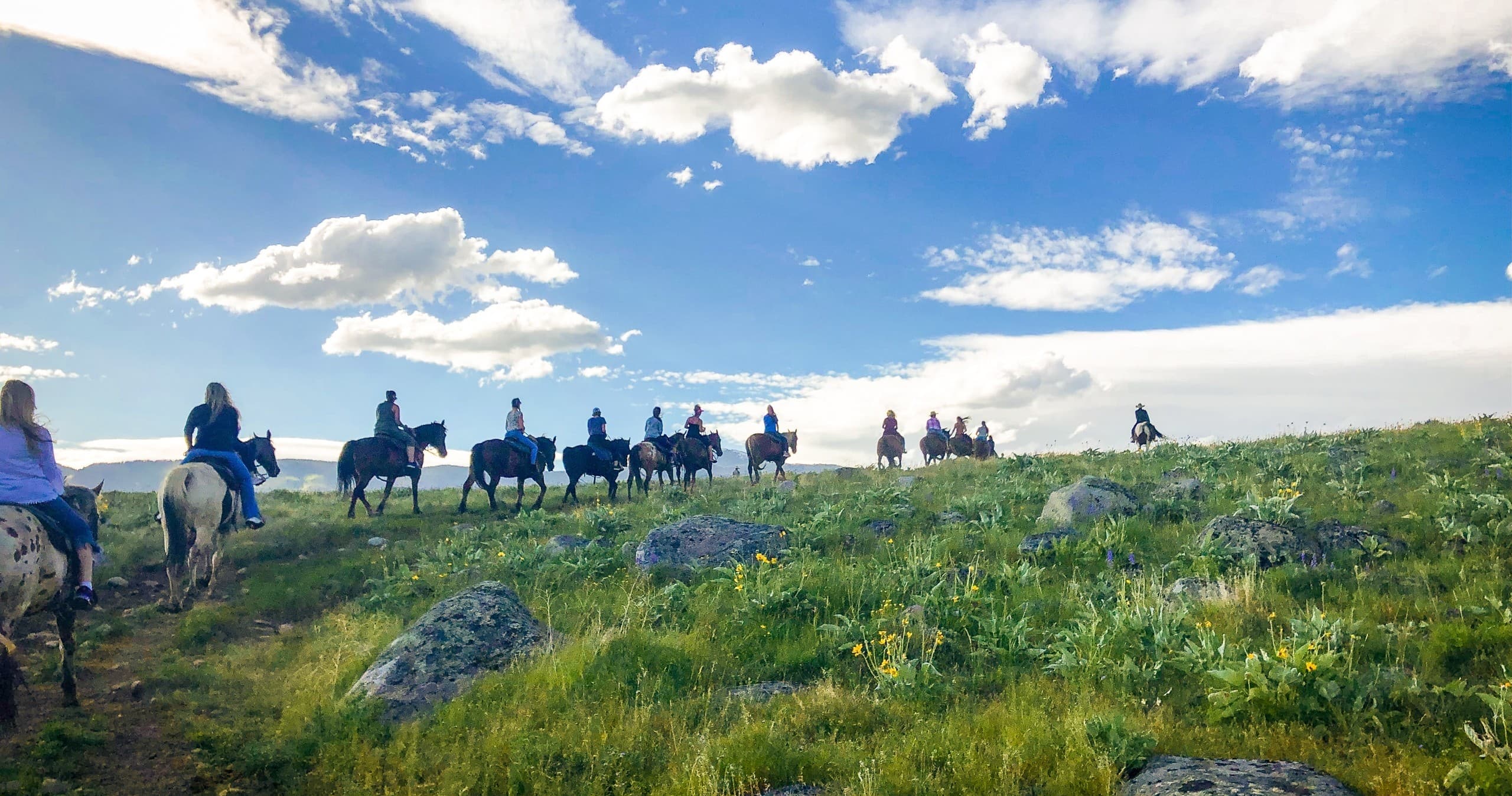YRC: 1 Hour Horseback Ride