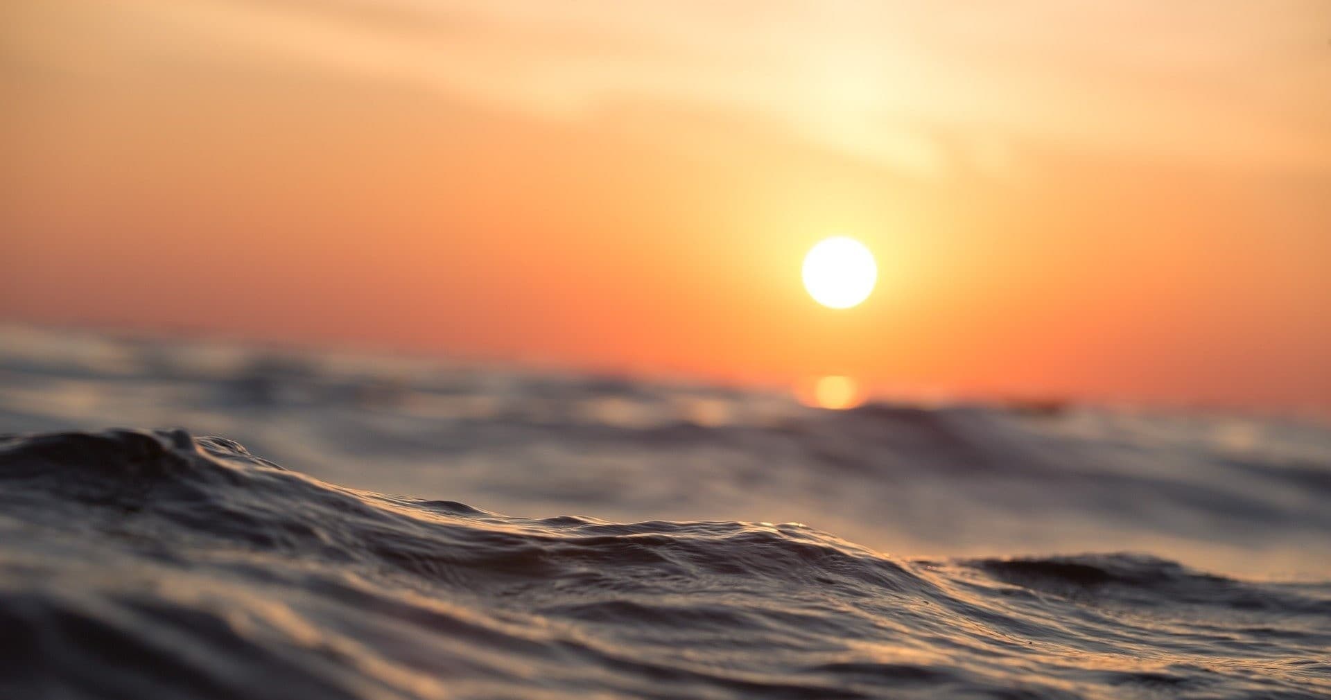 Dolphin Sunset Cruise
