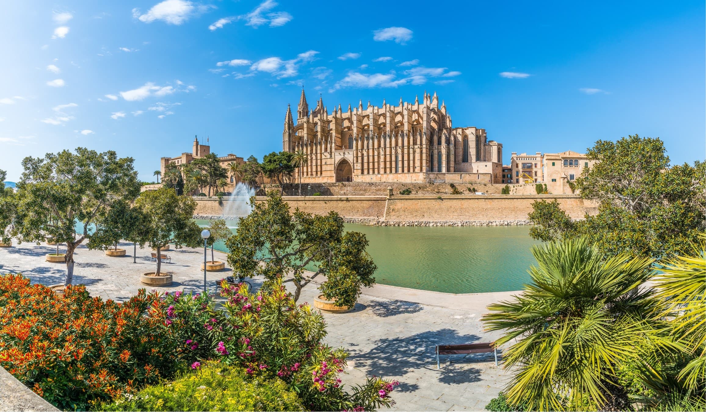 Walking Tour Palma con Acceso a la Catedral