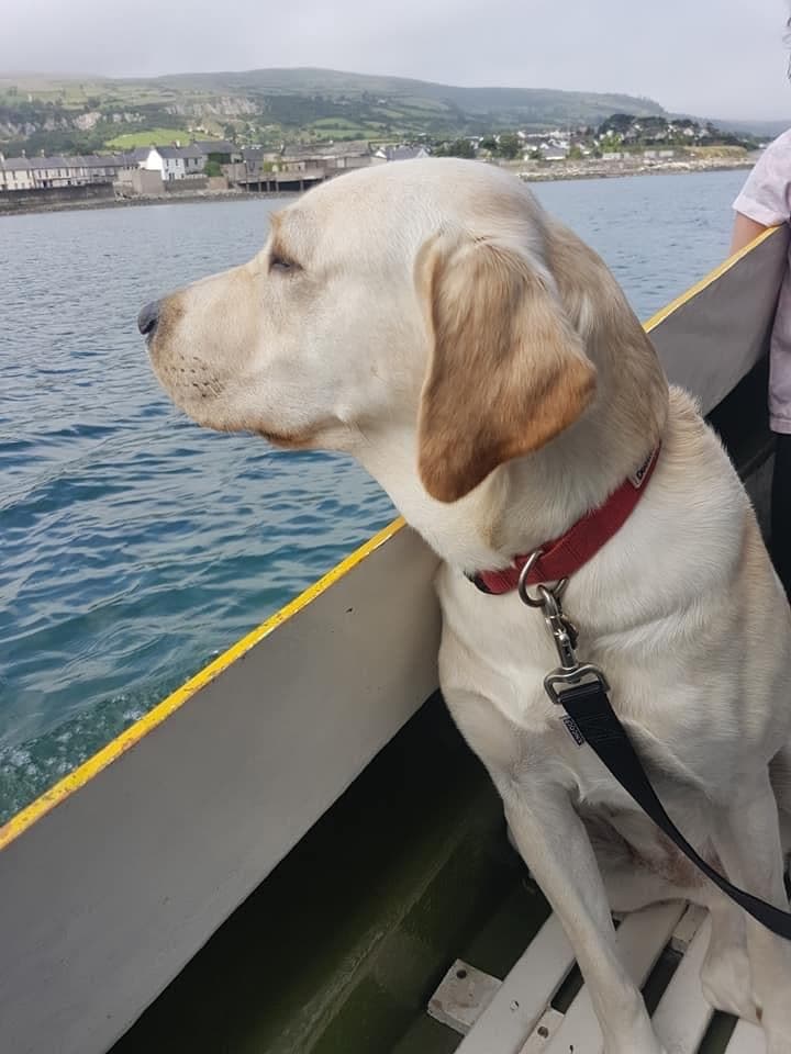 Dog Friendly Trip