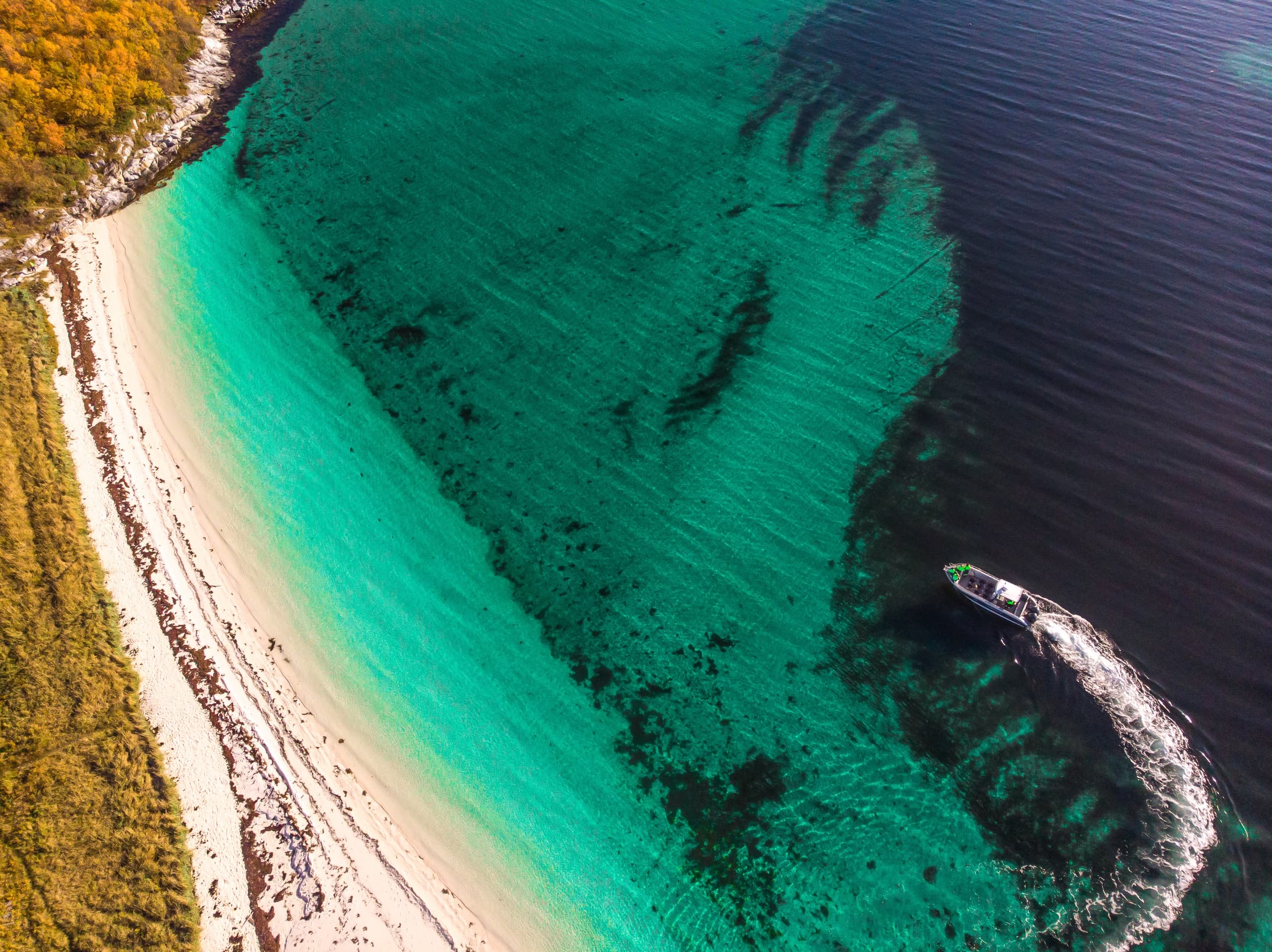 Wildlife & fjord safari by boat (incl. lunch on a beach)