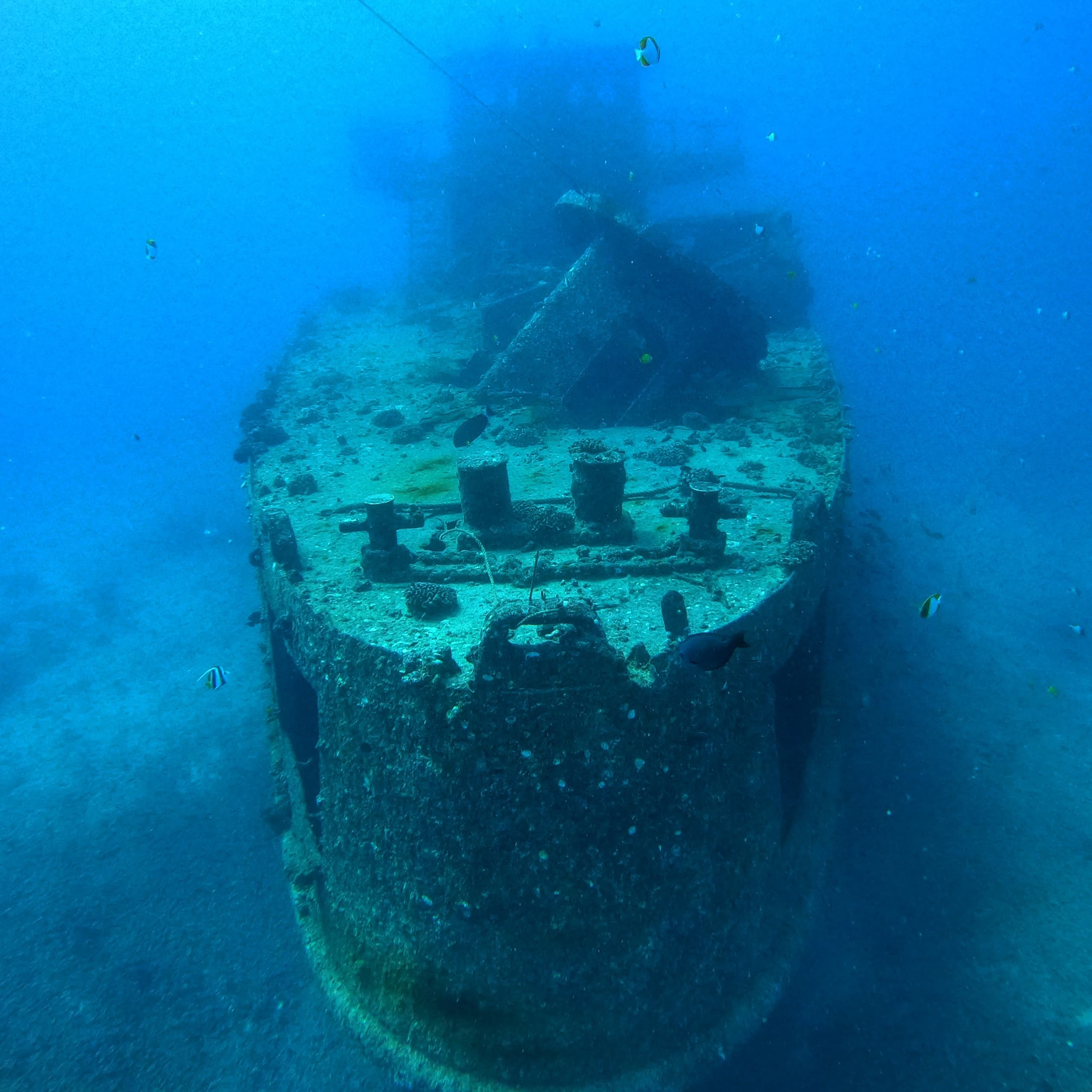 Wreck & Reef Tour
