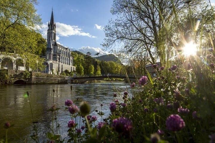Visita del Santuario de Lourdes