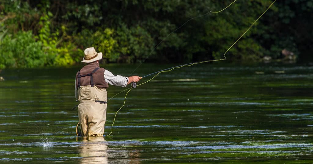 Yellowstone National Park Guided Tour + Fish