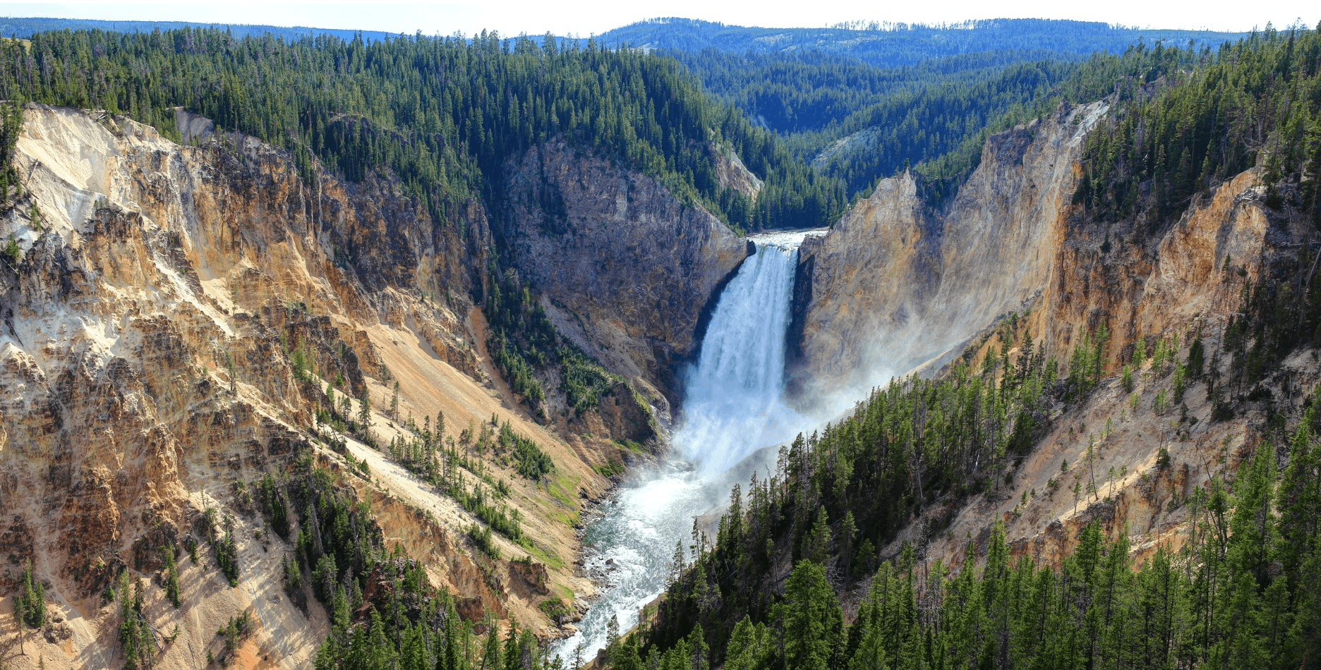 Public Yellowstone Highlights Tour