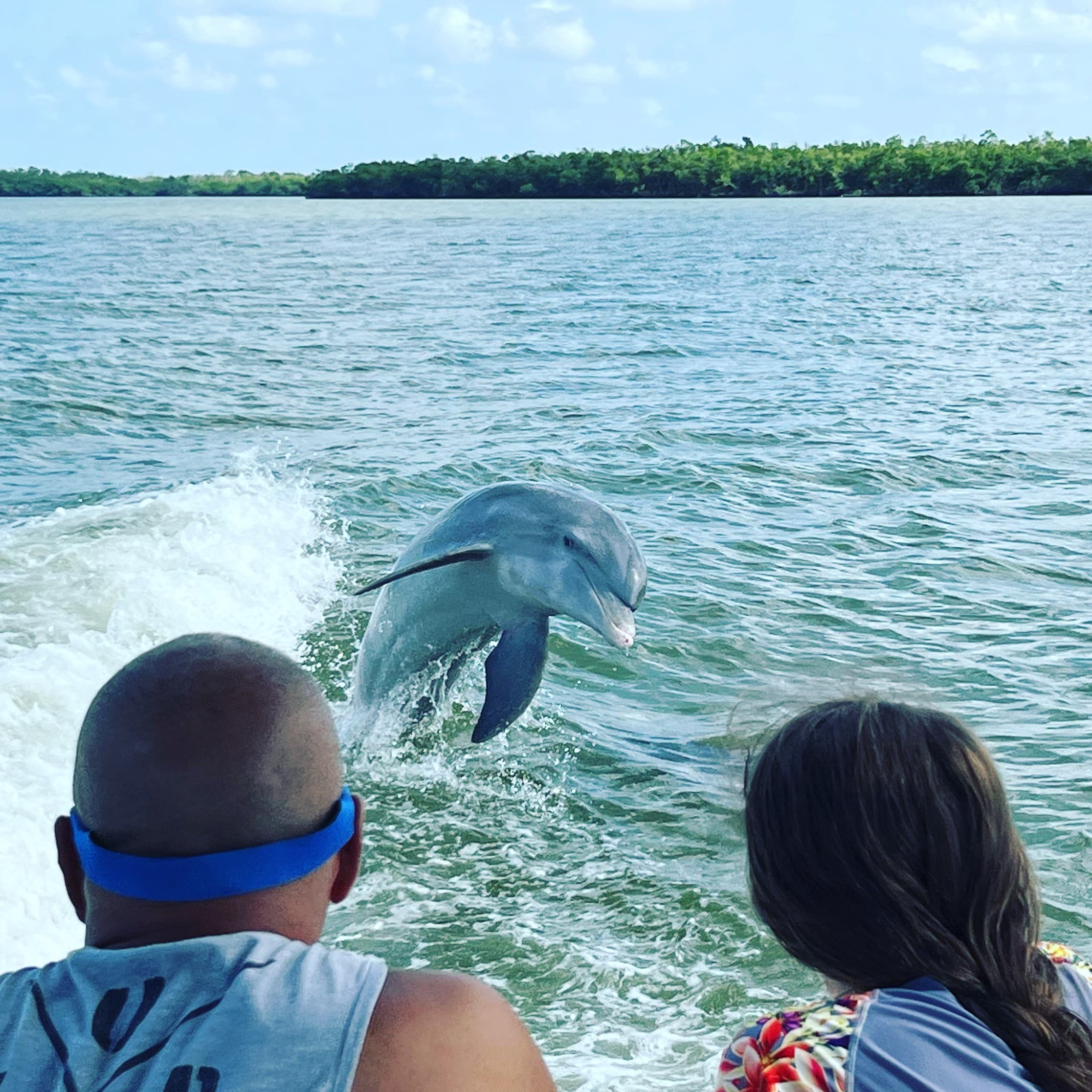 Dolphin Tour