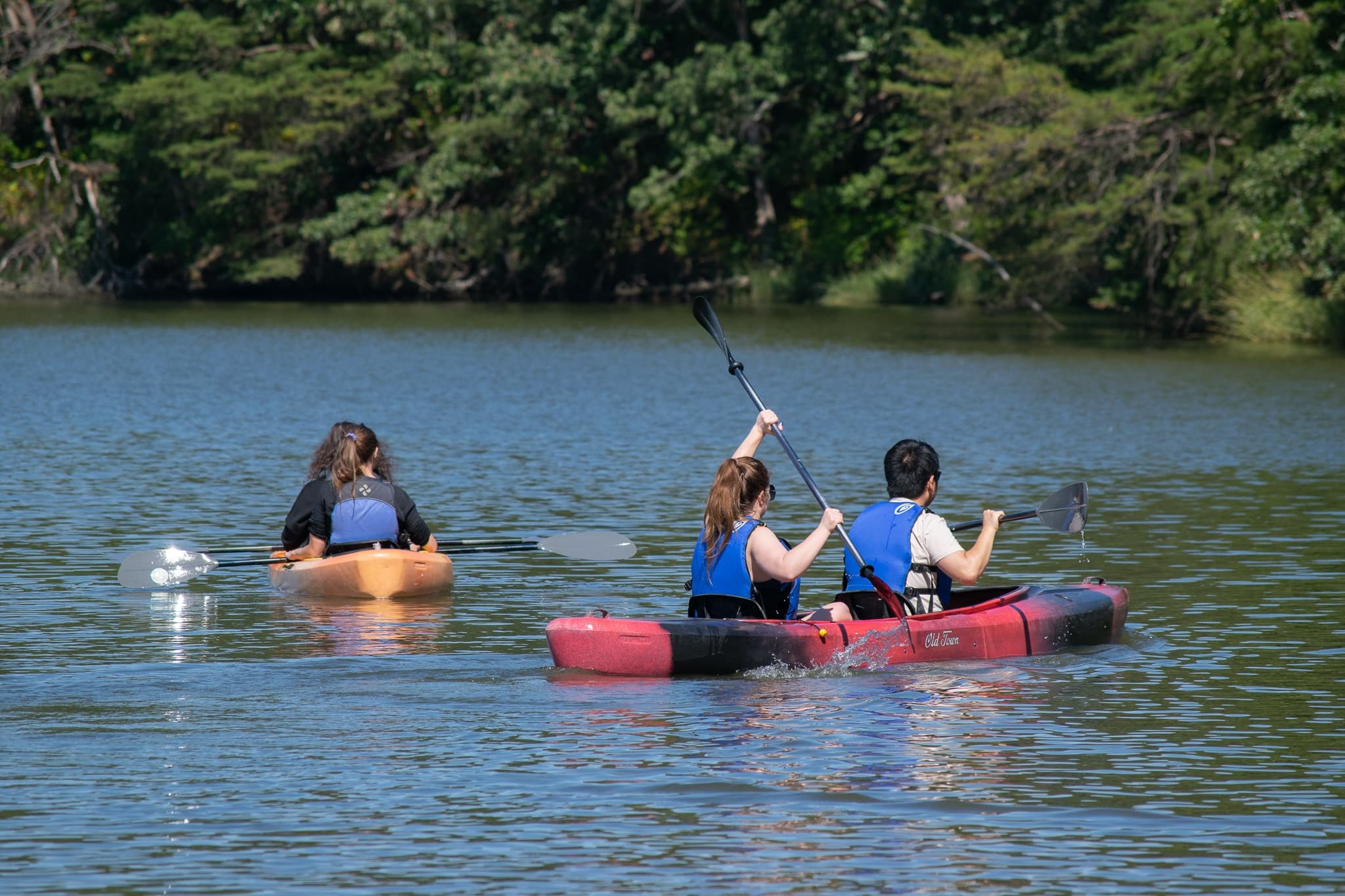 Quiet Waters Park - Rentals