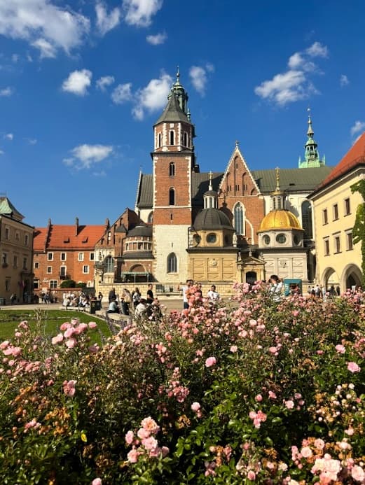 Wawel Cathedral and Castle Cortyard Private Tour