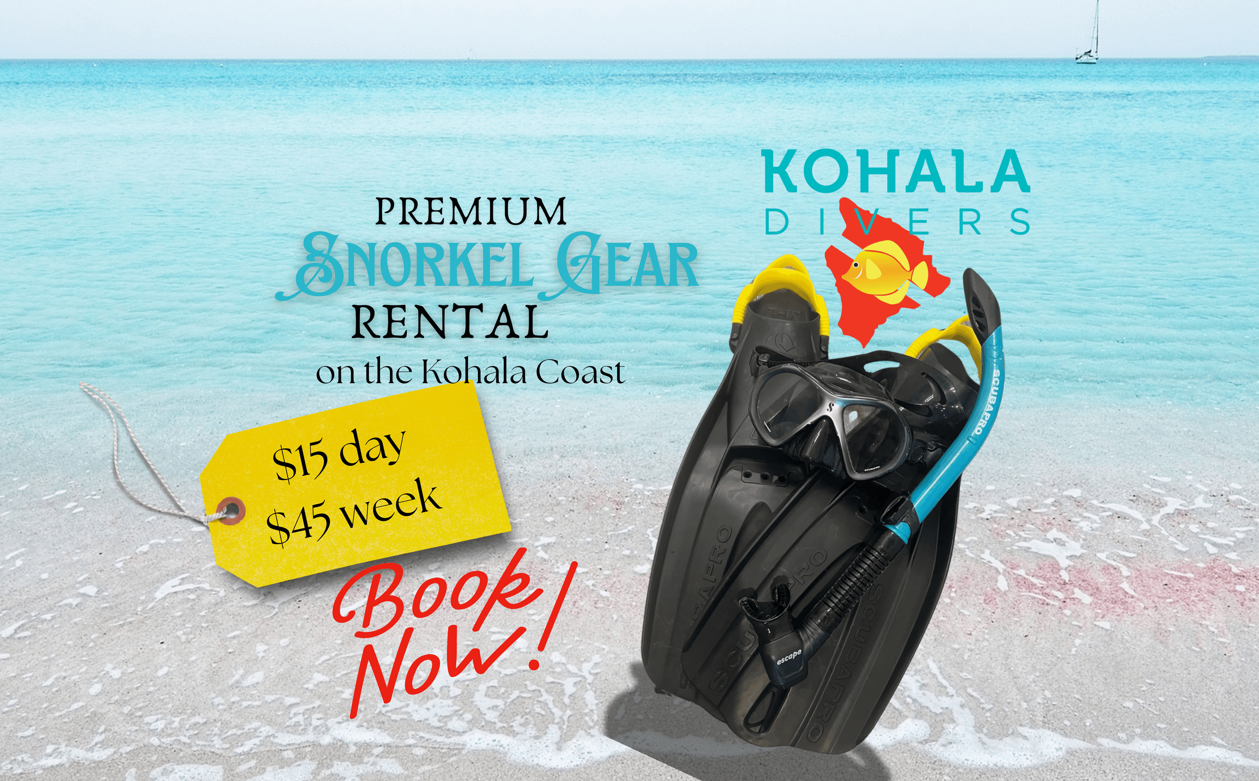 Five Day Rental