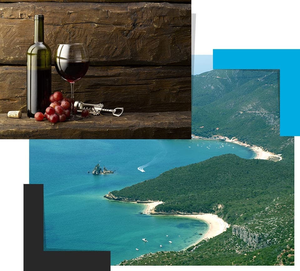 Arrábida Wine Tour & Food Tasting - Shared Tour