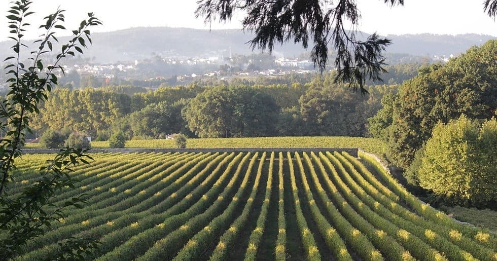 Rota do Vinho Verde