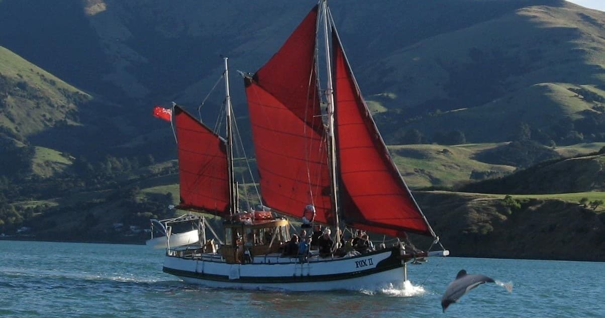 Fox ll Sailing and Wildlife