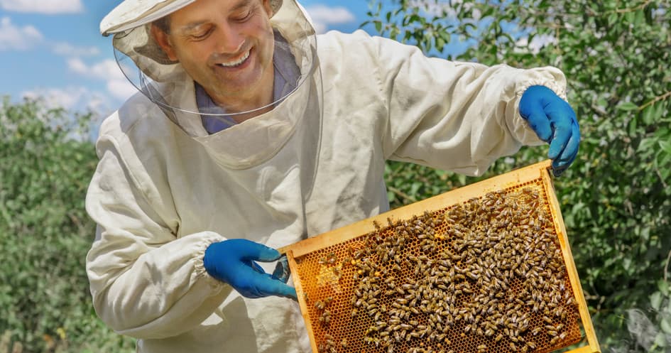 Beekeeping Experience