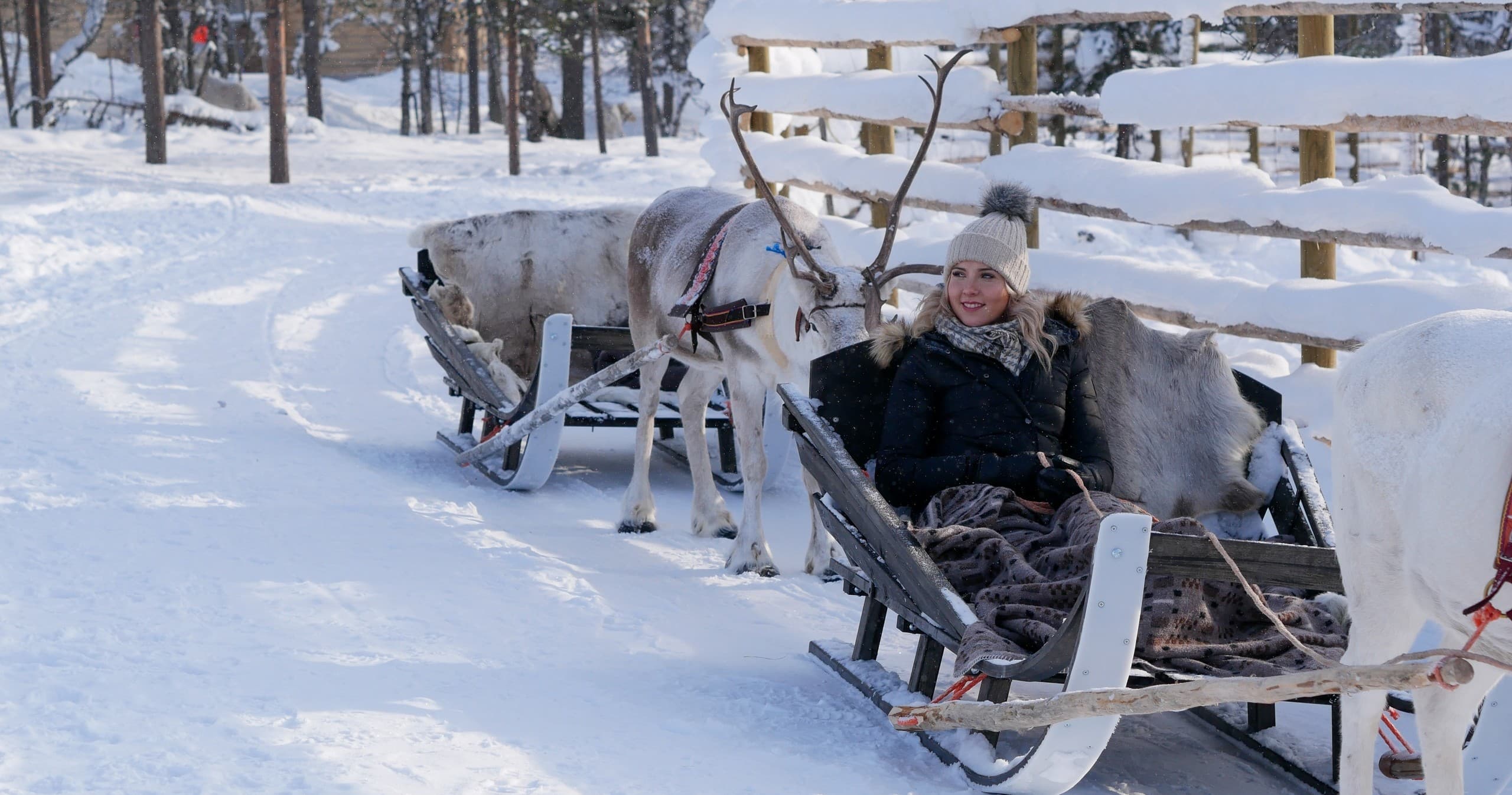 [R2] Reindeer Safari (2,5h)