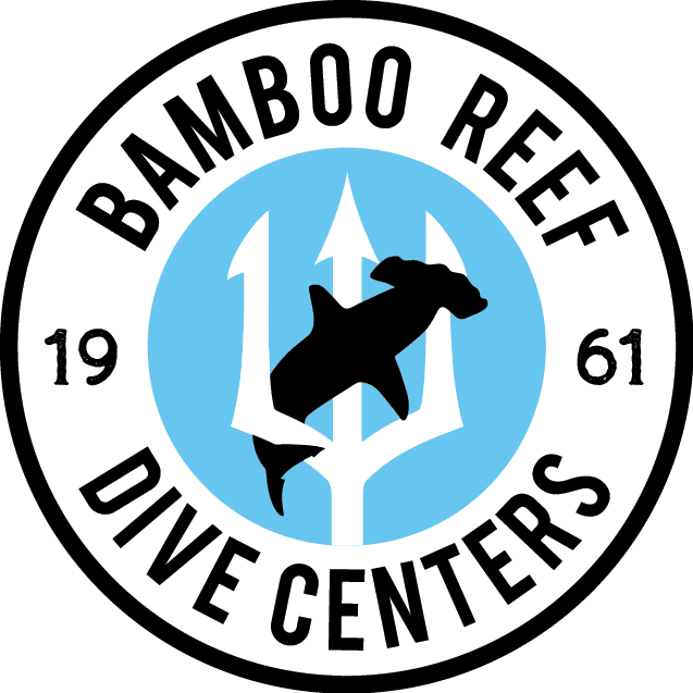 Bamboo Reef Dive Club - Platinum Diver