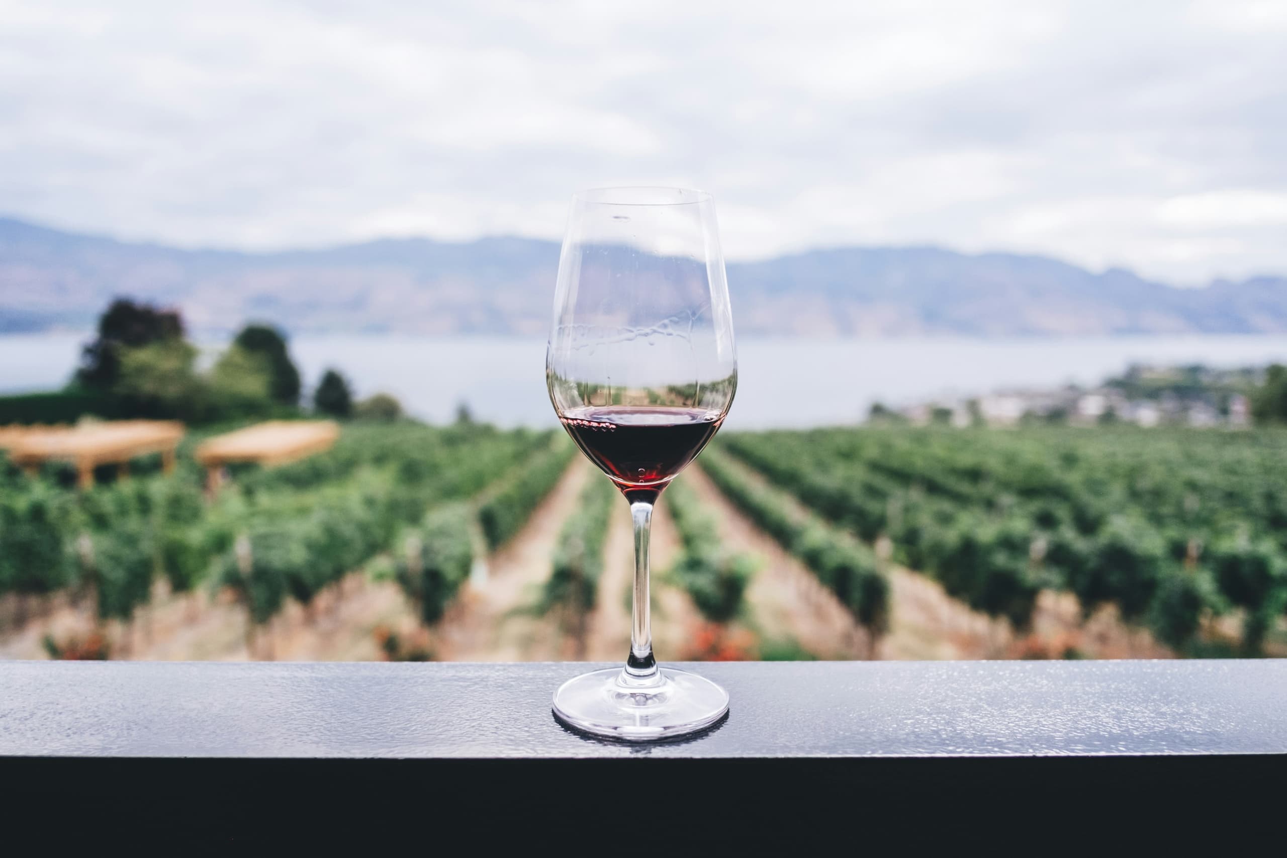 Wine Tasting in Tuscany