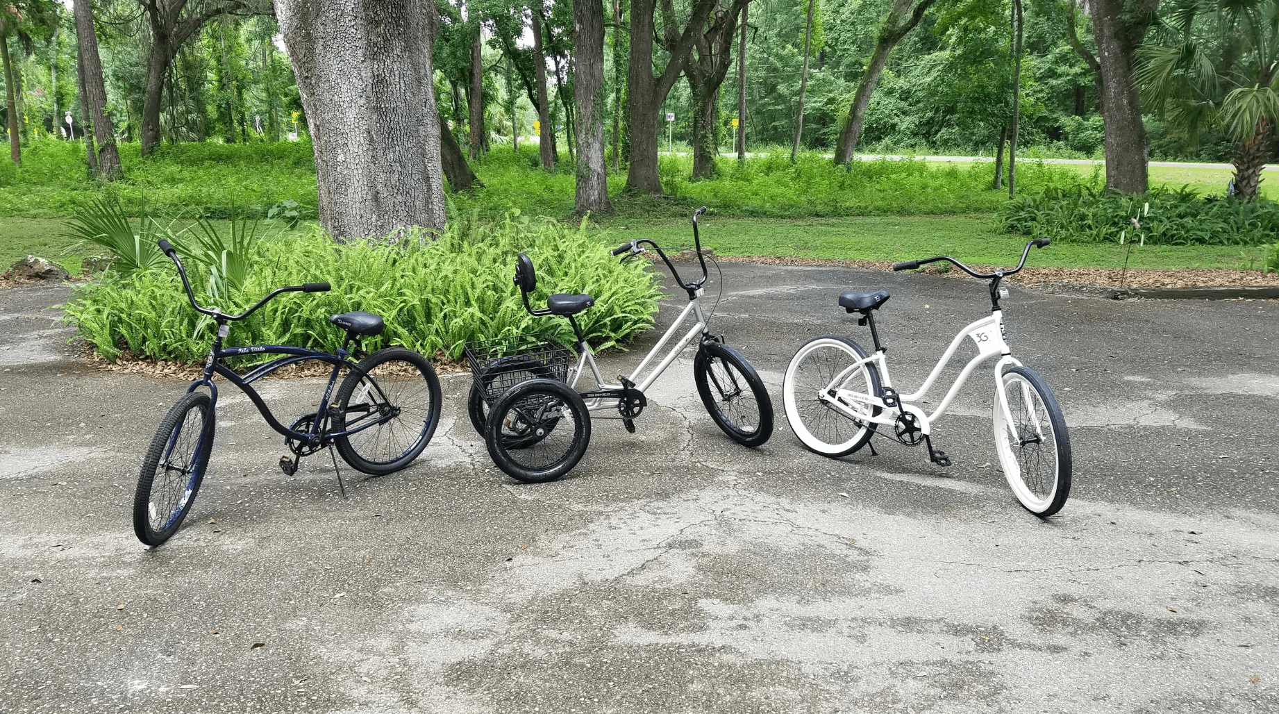 Two Hour Bike Rentals