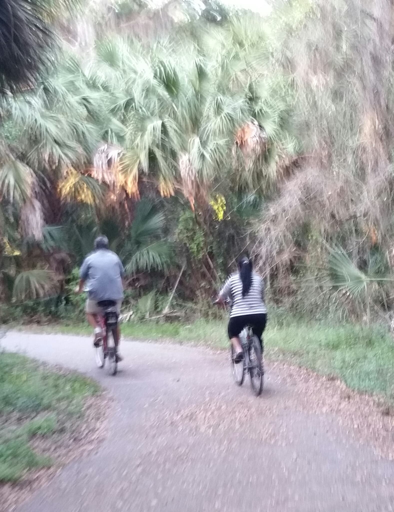 14-Day Bike Rental
