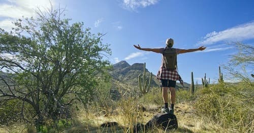 Scottsdale Desert Classic Guided Hike