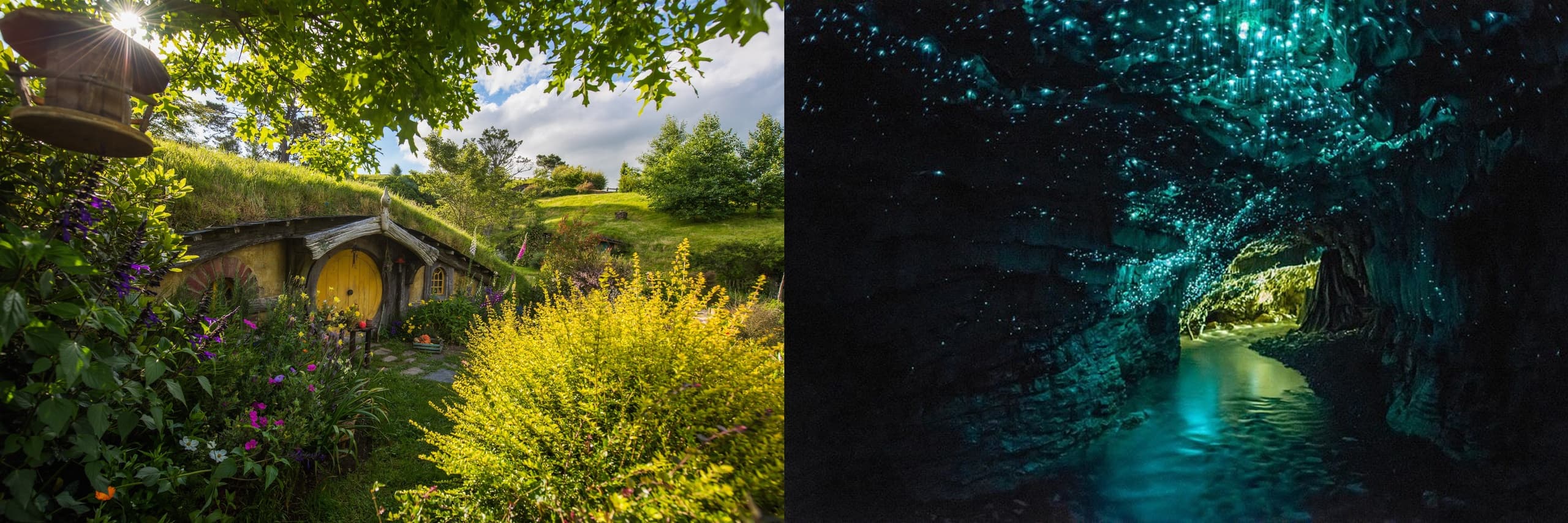 Hobbiton Movie Set + Waitomo Glow Worm Caves Private Tour