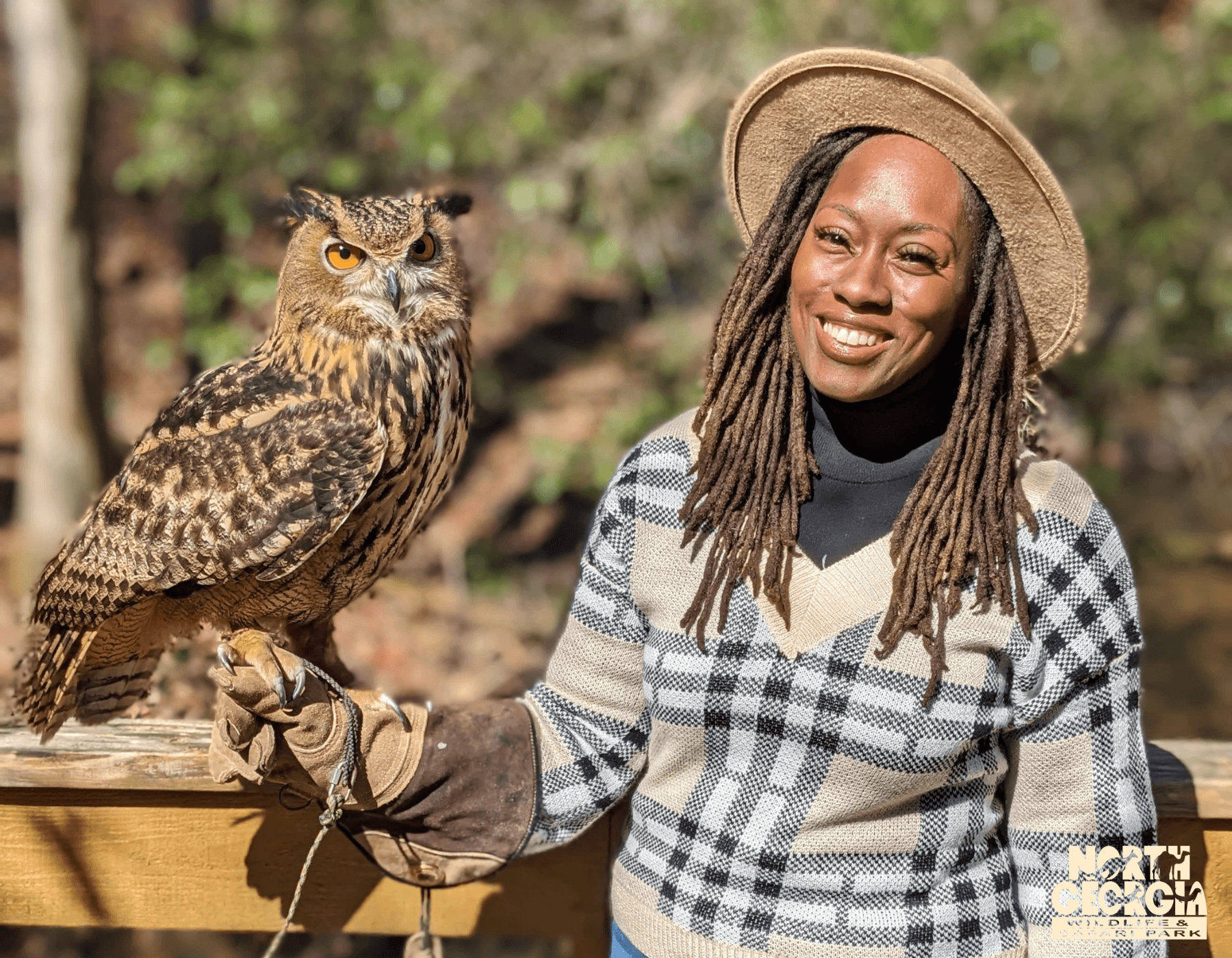 Owl Experience