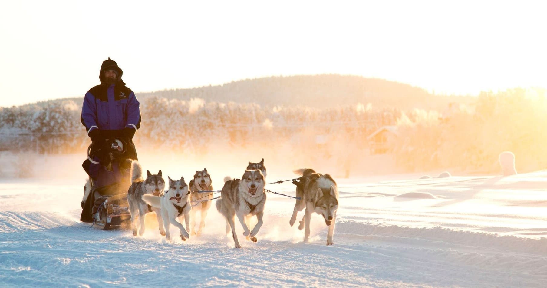 [H2] Husky Safari (10km)