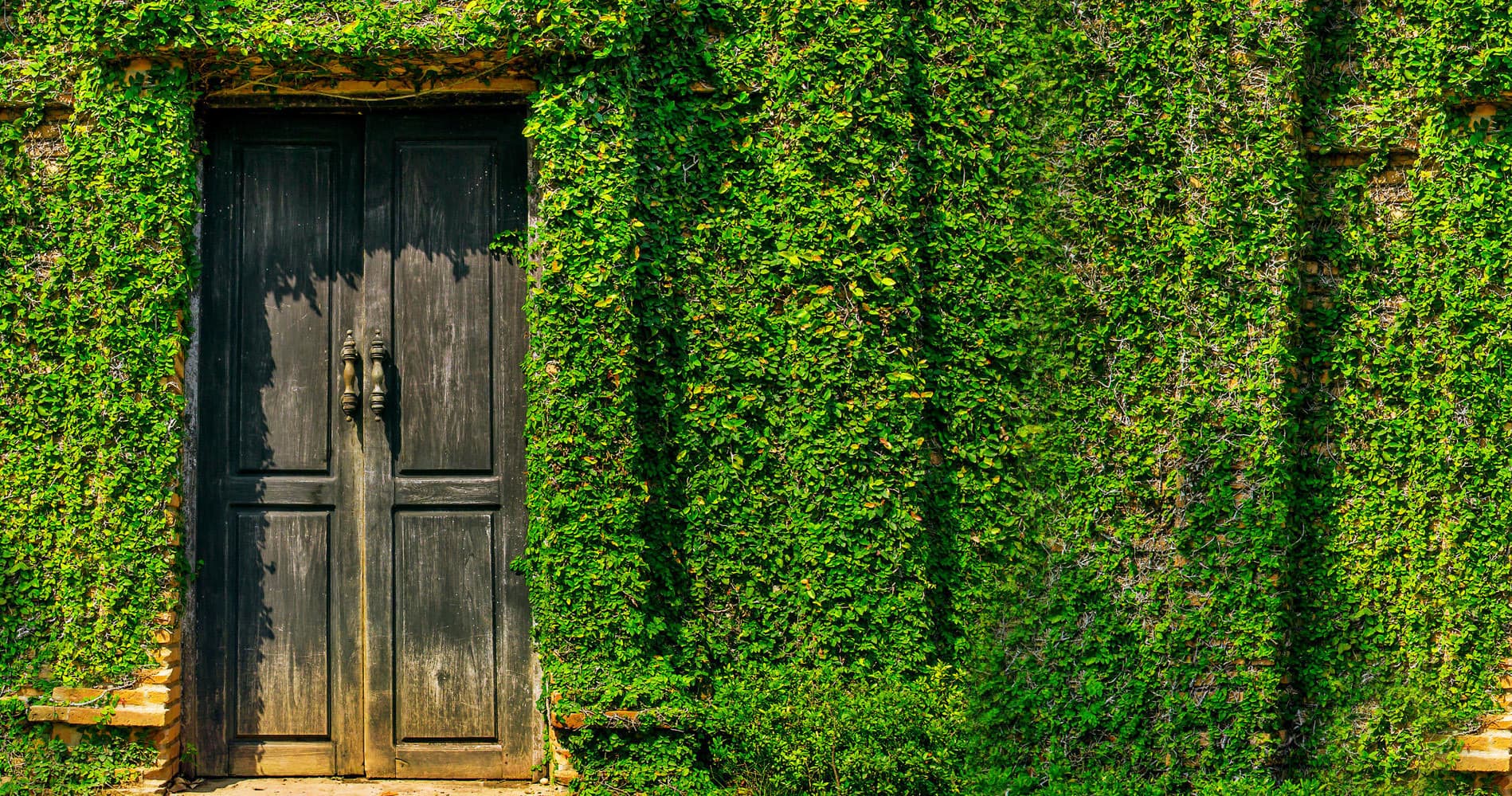 Lisbon Secret Garden Walking Tour