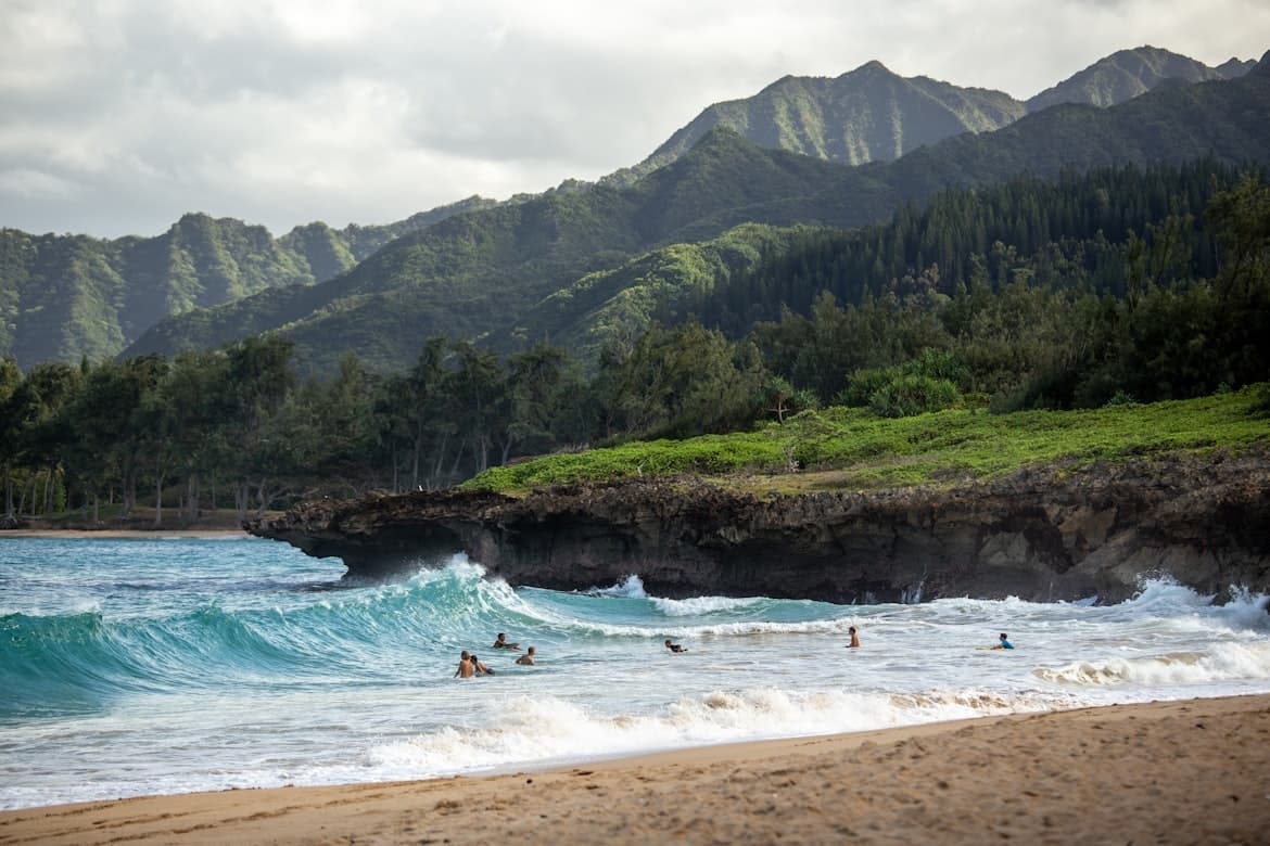 Day Tour of Big Island
