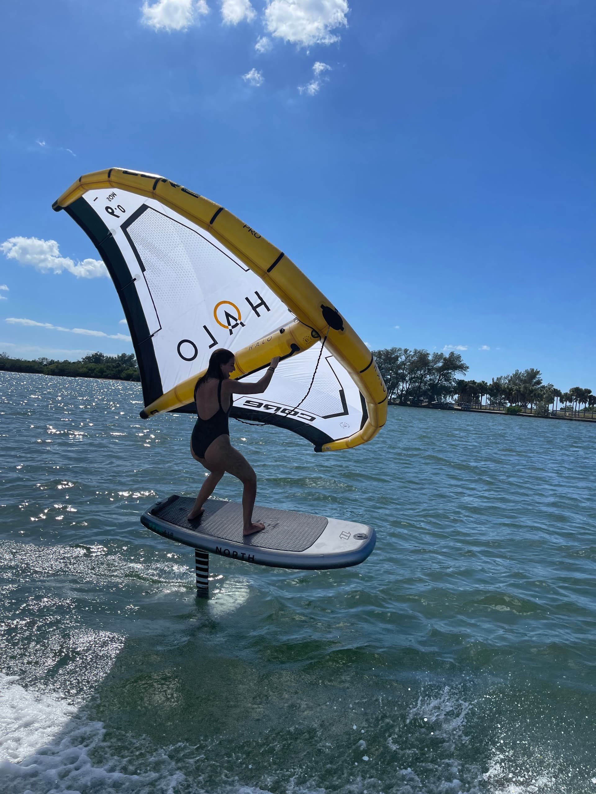 Wing Foil Lesson