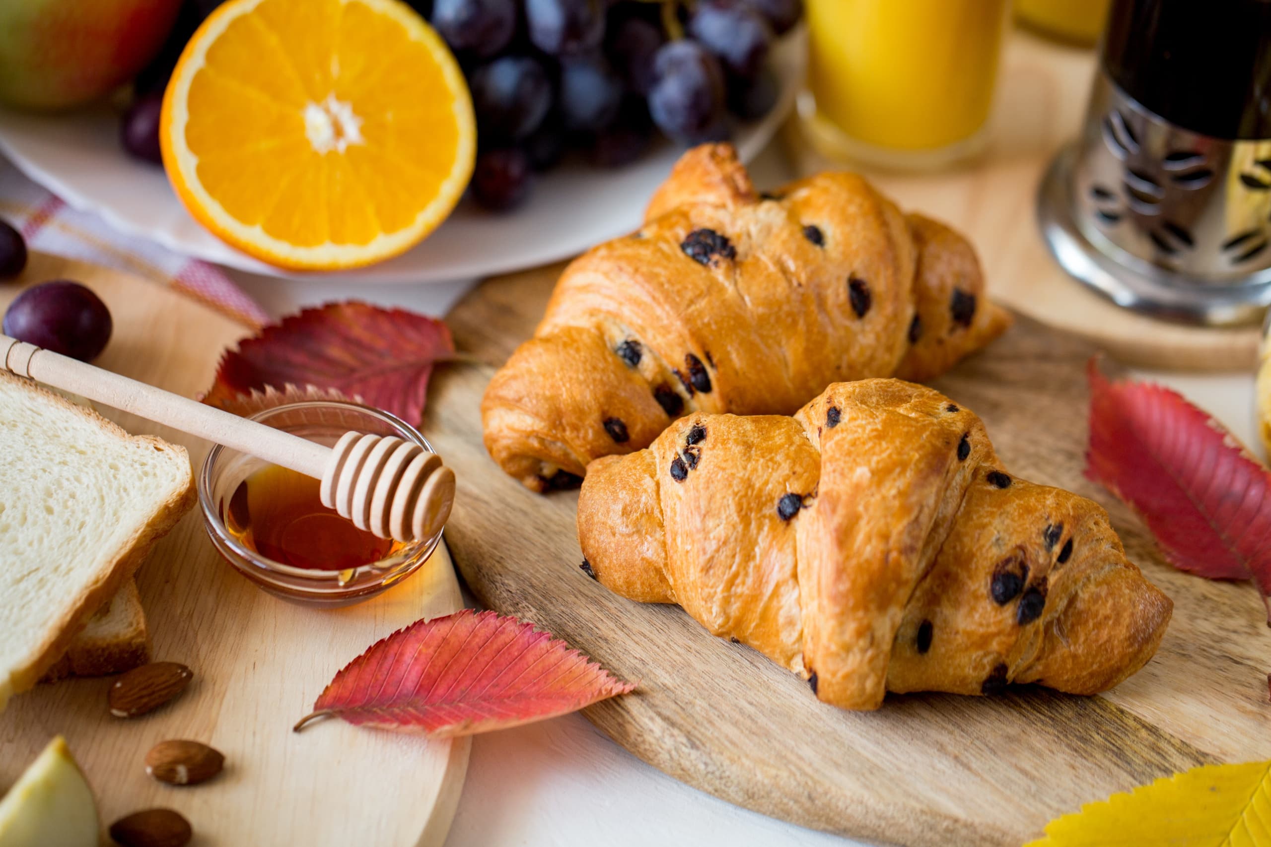 Fall Foliage Brunch Cruise