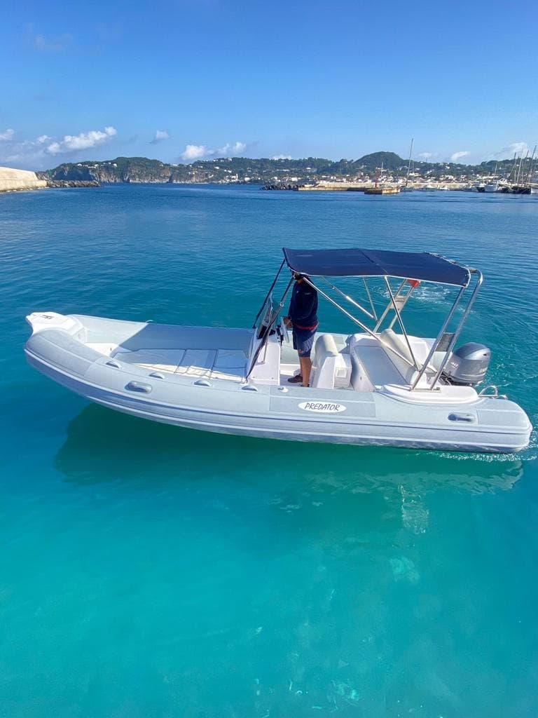 Predator 5.8m • 40hp