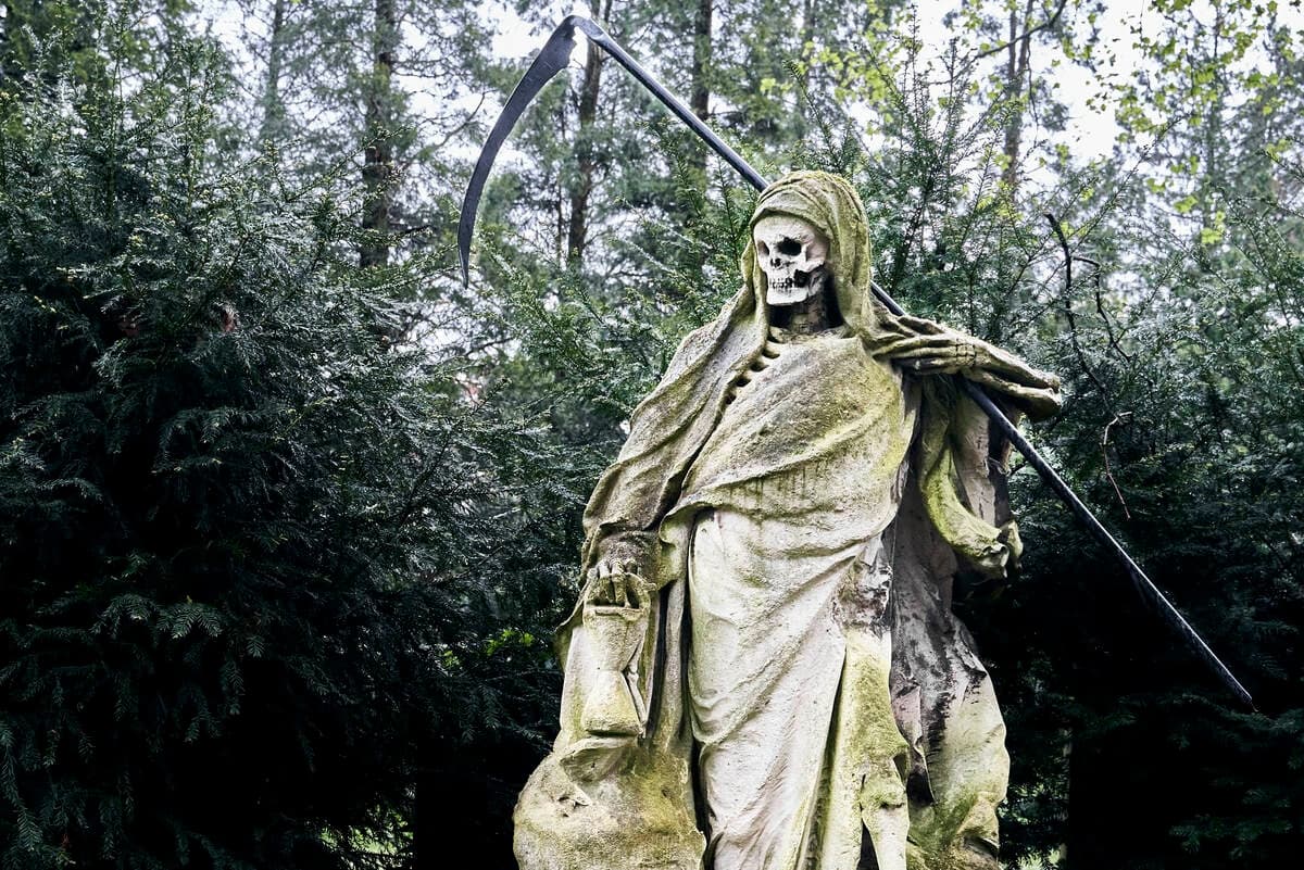 PRIVAT: Melaten Friedhof: Führung mit allen Sinnen