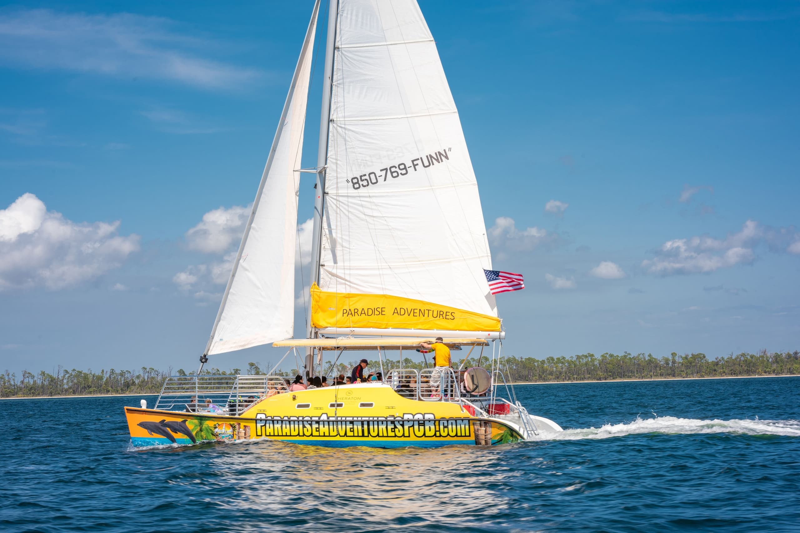 Dolphin Sightseeing Tour on the Footloose Catamaran