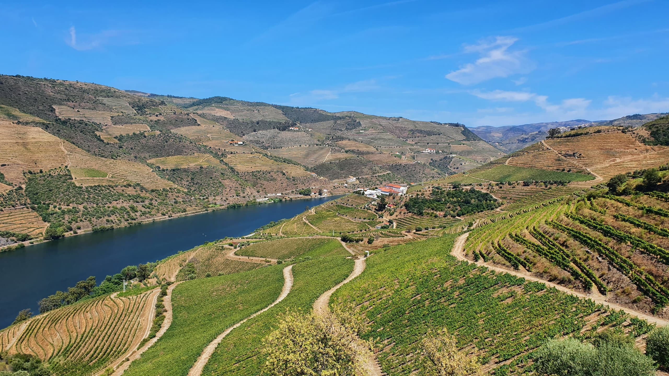 Passeio ao Vale do Douro com prova de Vinho, Passeio de Barco e Almoço