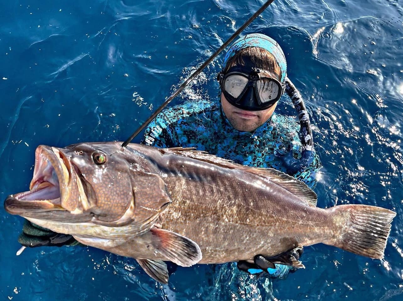 Spearfishing Charters
