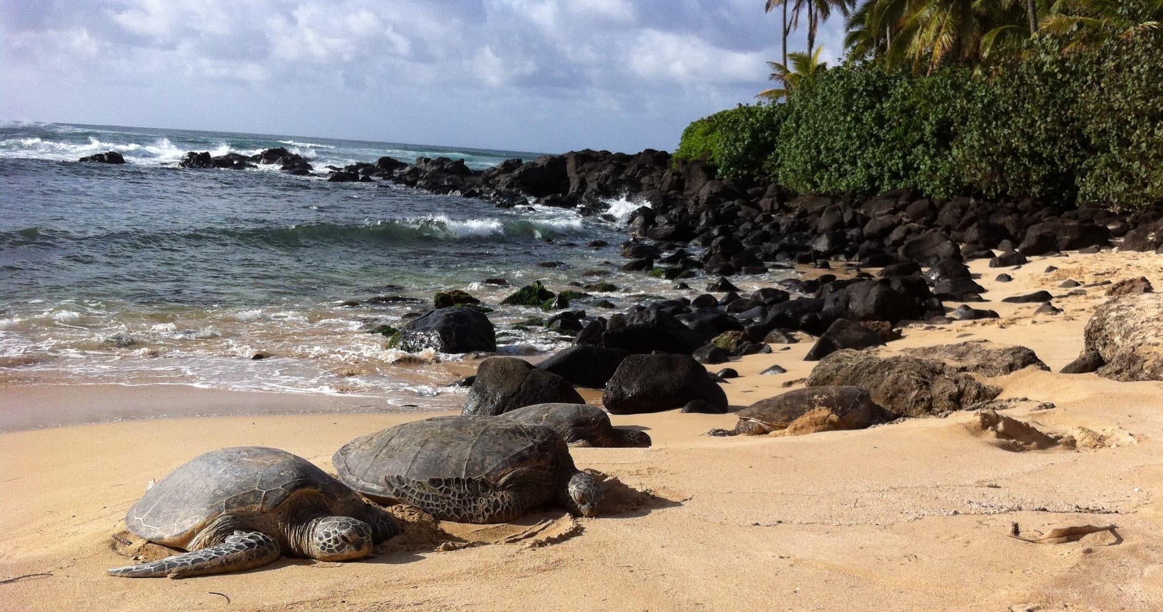 North Shore Tour