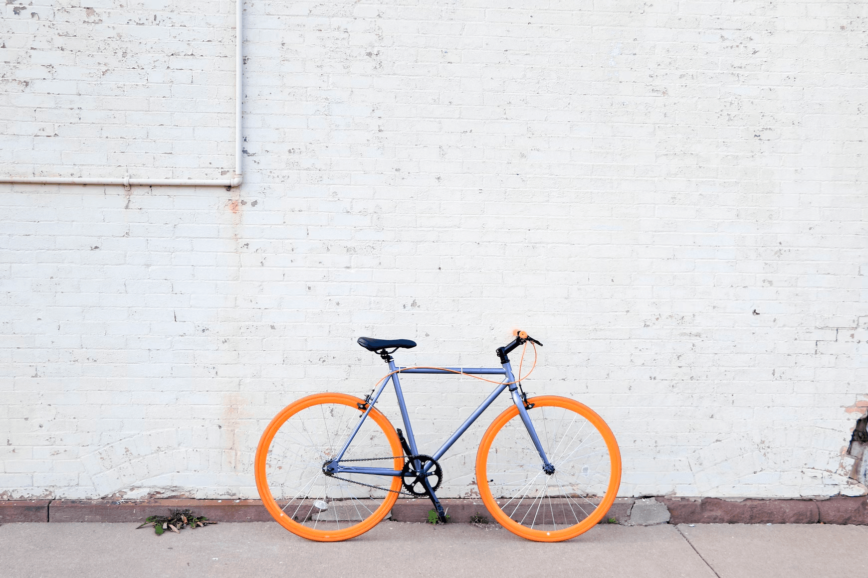 Four Hour Bike Rental
