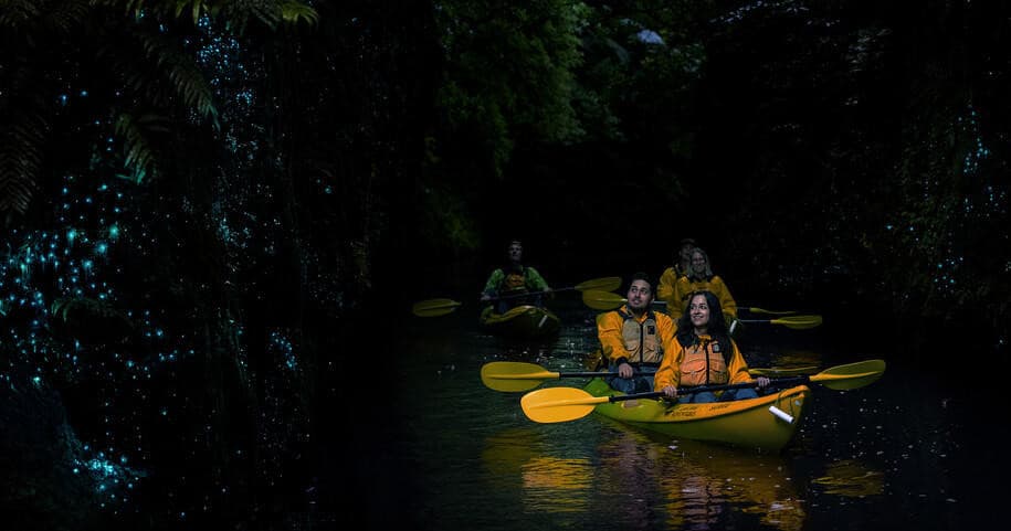 Twilight Kayak Glow Worm Tour