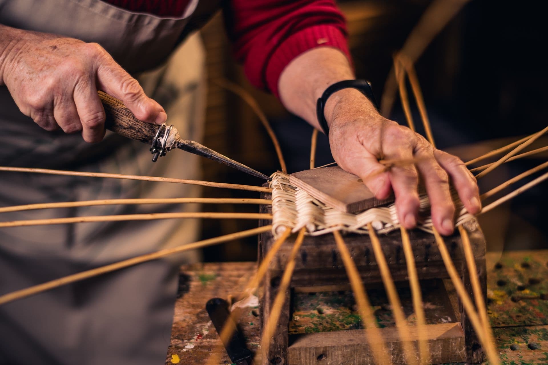 Ribnica: Let’s weave a basket