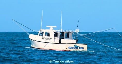 Ultimate Offshore Trip: 9 Hour Full Day Adventure