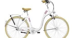 1 Day Bike Rental