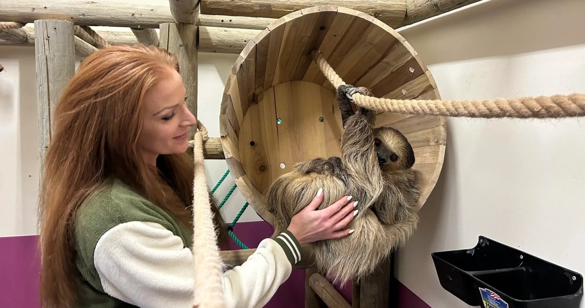 Sloth Encounter
